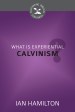 ExperientialCalvin